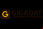 Gigadat Logo