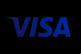 Visa Logo