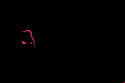 Bruno Casino Logo