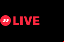 LiveBet Casino Logo