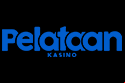 Pelataan Kasino Logo