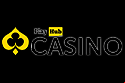 Playhub Casino Logo