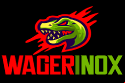 Wagerinox Logo