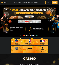 Betwhale Casino Screenshot