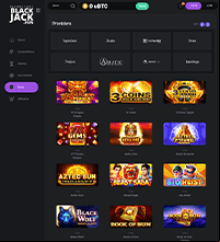 Blackjack Fun Casino Screenshot