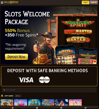 Bull Spins Casino Screenshot