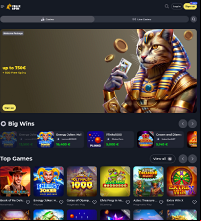 Felixspin Casino Screenshot