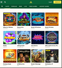 Mason Slots Casino Screenshot