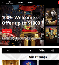 Royal Panda Casino Screenshot
