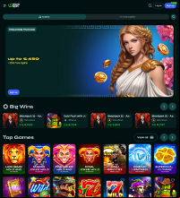 Savaspin Casino Screenshot